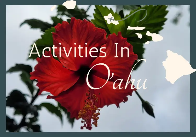 Beyond Waikiki: Dive Into The Myriad of Activities in Oahu