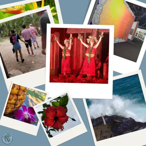 Museums and Cultural Experiences in Oahu