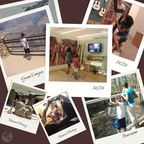 Phoenix Museums with Kids